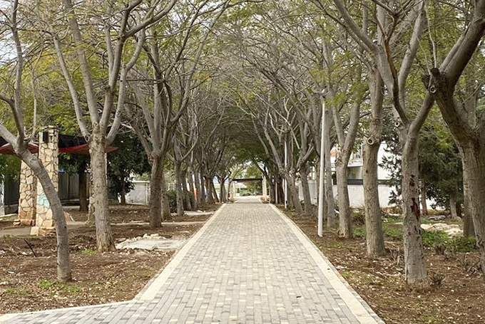 מצלילים את עפולה